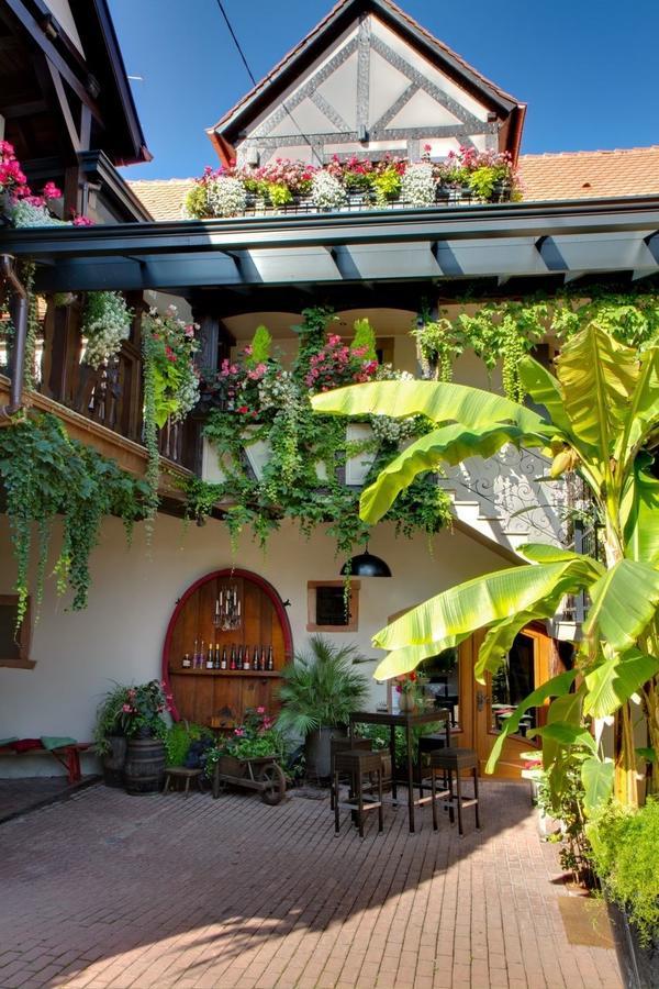 Gîte FLEUR DE VIGNES Itterswiller Exterior foto