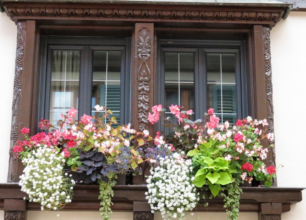 Gîte FLEUR DE VIGNES Itterswiller Exterior foto