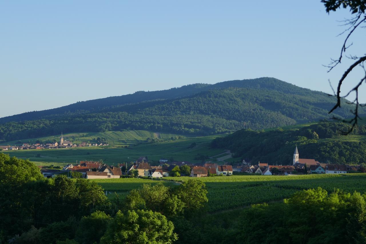 Gîte FLEUR DE VIGNES Itterswiller Exterior foto